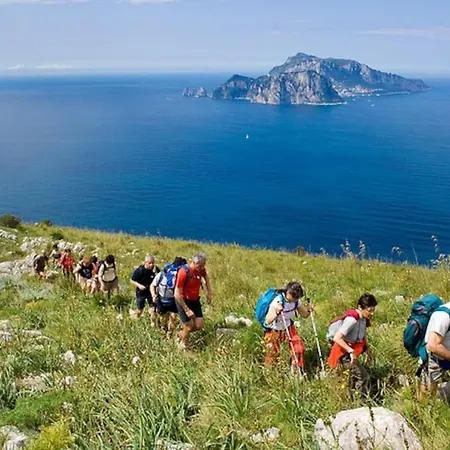 Amalfi Coast, Positano, Sorrento, Capri, Garden, Carcara *