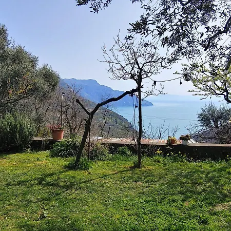 Amalfi Coast, Positano, Sorrento, Capri, Garden, Carcara Colli di Fontanelle