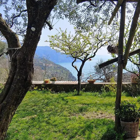 Amalfi Coast, Positano, Sorrento, Capri, Garden, Carcara Holiday home