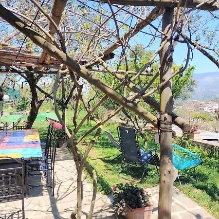 Amalfi Coast, Positano, Sorrento, Capri, Garden, Carcara Holiday home
