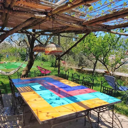 Amalfi Coast, Positano, Sorrento, Capri, Garden, Carcara Holiday home