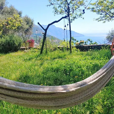 Nyaraló Amalfi Coast, Positano, Sorrento, Capri, Garden, Carcara