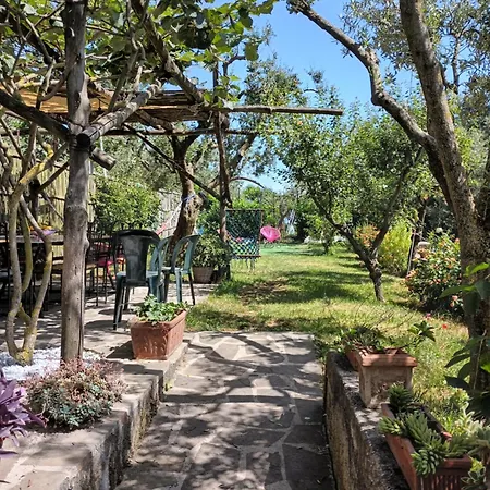 Amalfi Coast, Positano, Sorrento, Capri, Garden, Carcara Holiday home Colli di Fontanelle