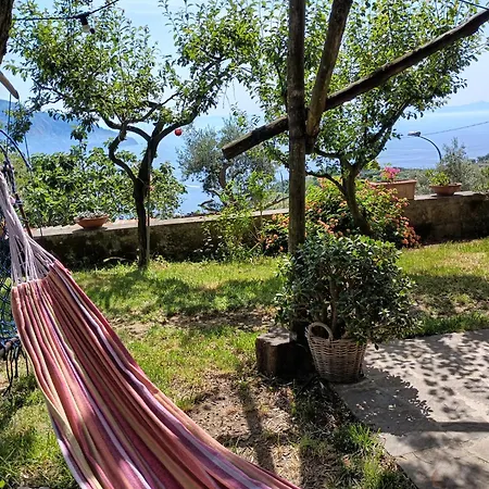 Amalfi Coast, Positano, Sorrento, Capri, Garden, Carcara Colli di Fontanelle