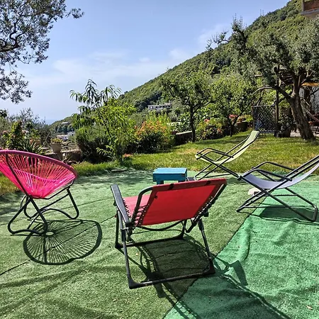 Amalfi Coast, Positano, Sorrento, Capri, Garden, Carcara