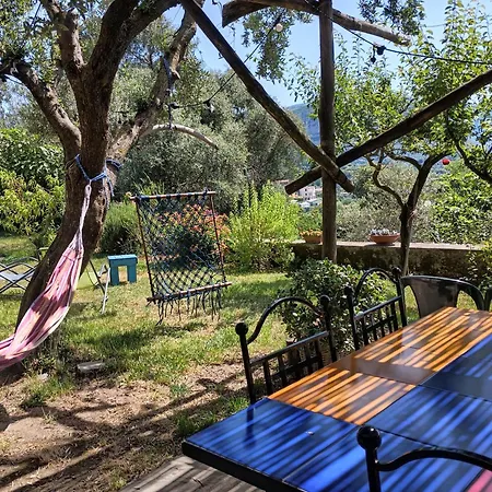 Amalfi Coast, Positano, Sorrento, Capri, Garden, Carcara Holiday home *